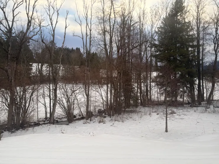 維斯教堂 周圍冬景