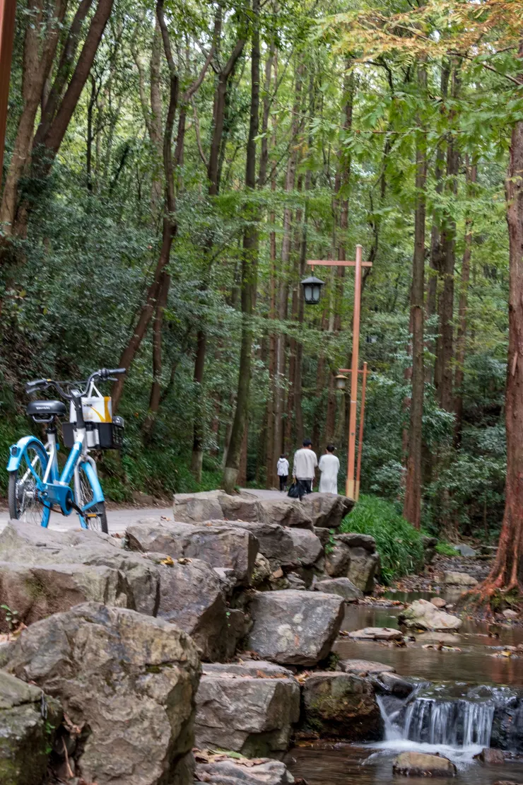 山中唯一的腳踏車,竟沒有對焦 哈