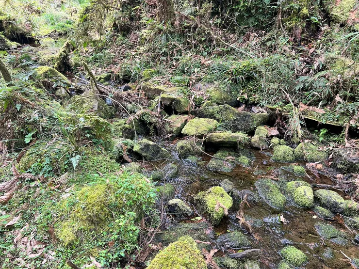 三叉營地及嘉羅神社最後水源(24.498921°，121.469643°)