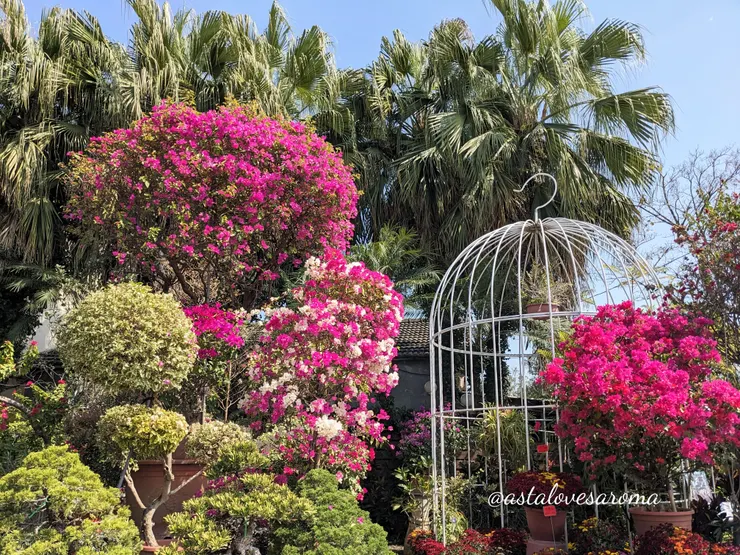 『合利園藝』門口