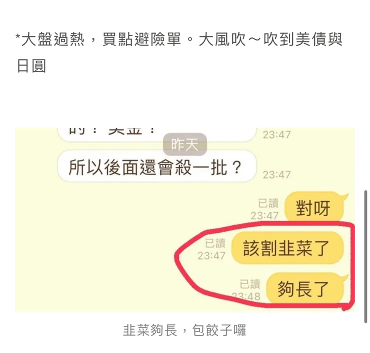 7/12就說韭菜夠長可以包餃子了