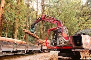 再度使用怪手將木材卸下