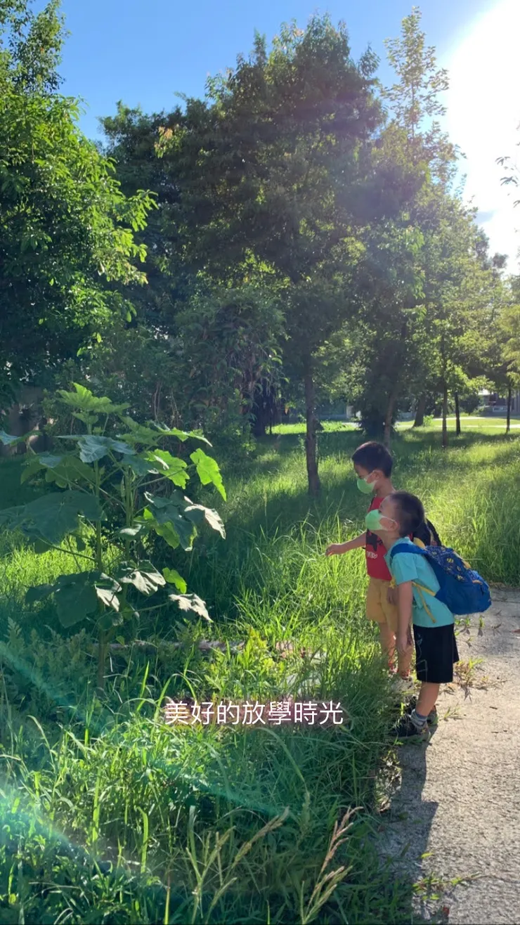 孩子們享受放學的陽光與草木香