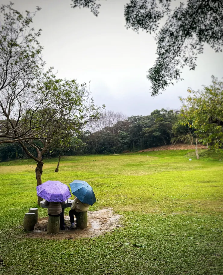 擎天草坪,這對夫妻在小雨中、撐著傘,坐在石階上聊天,好浪漫喔!