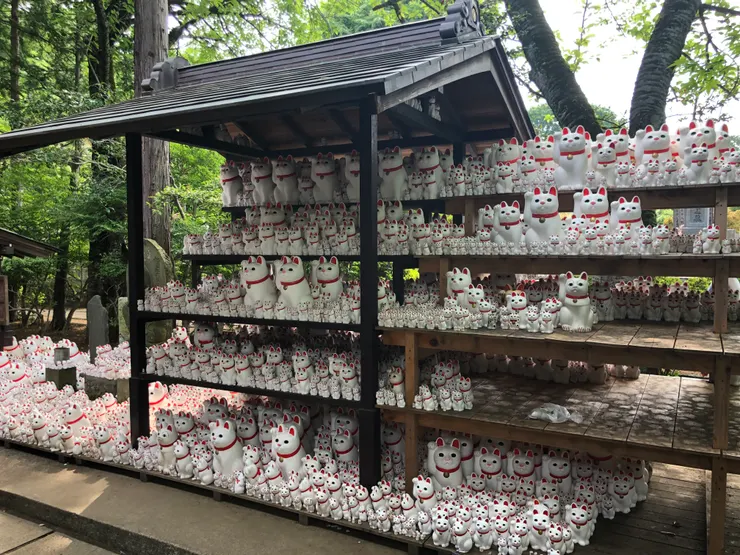 仔細看還有不同的表情