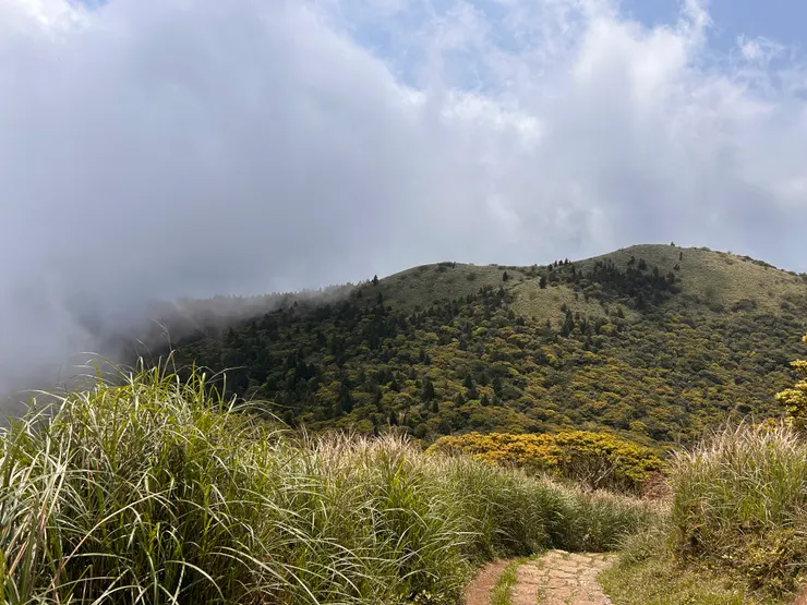 很難不放爬山的照片，這天陽光與雲霧並存