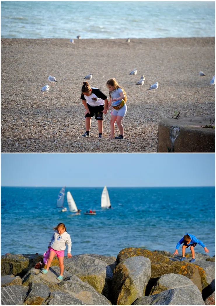 【雖沒碰到大景但晨昏陽光美好，視界遼闊所有的動看來都似靜。傍晚也到海邊逛逛。】