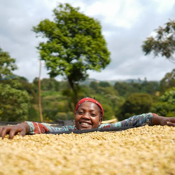 蓋德奧 愛美芮小農