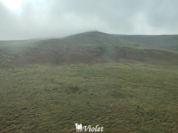 青藏列車 可可西里無人區