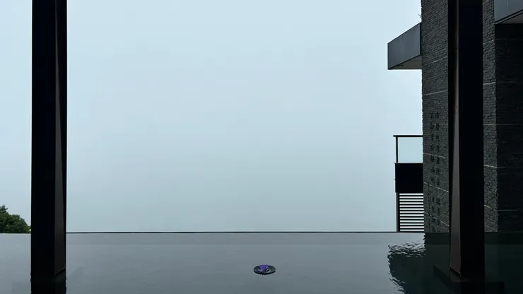 無邊際水池上的蓮花小巧美麗。｜202410.28攝影