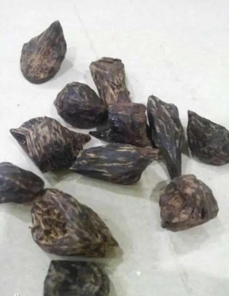 圖片來自香道沉香檀香學習