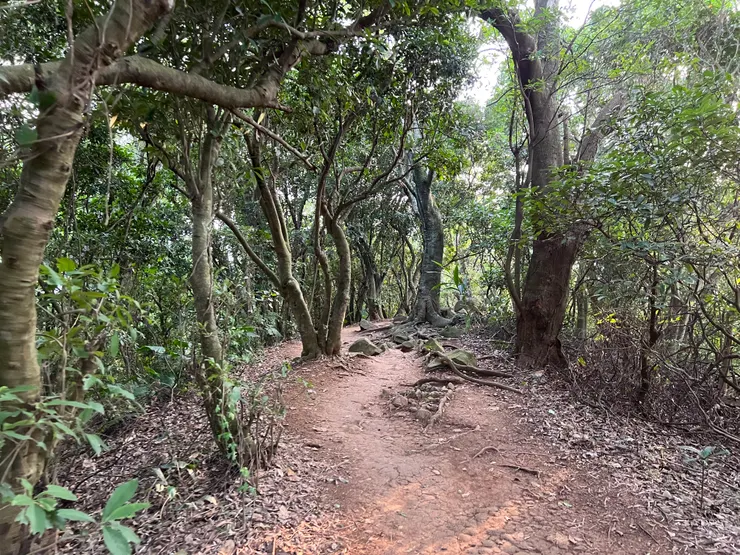 忠勇山步道