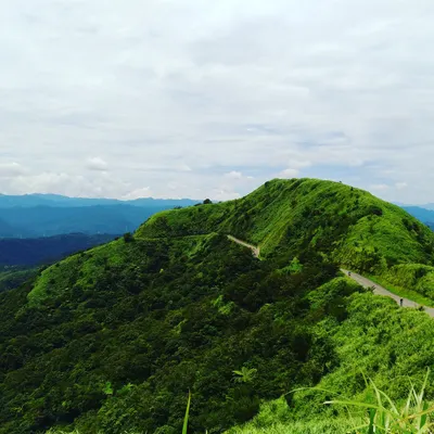 希維亞的生活小事的沙龍