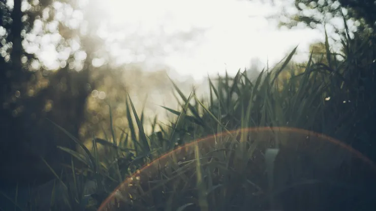 Photo by Alvin Engler on Unsplash