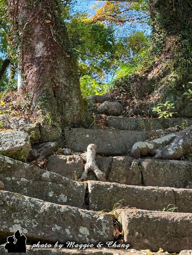 石階上有位小朋友正在努力往上爬,你看到了嗎 ? (路人指點)