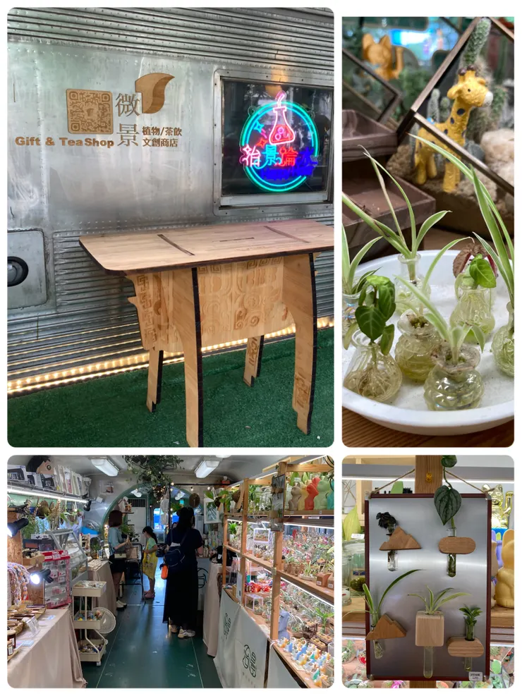 有許多可愛的微型植物！