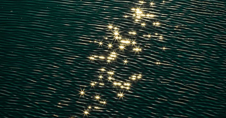 Photo by Tim Zänkert on Unsplash