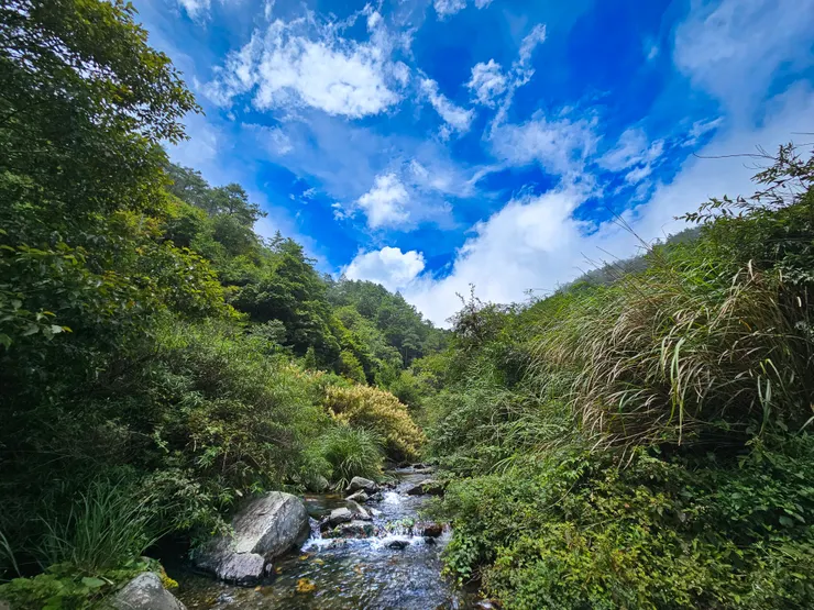 那溪水就像加了冰塊一樣的冷@@