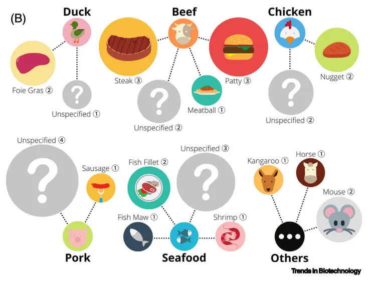 不同的物種又分別可以做出不一樣的產品。像是牛肉,有的公司主要是研發做成漢堡肉、有的是主打牛肉丸、有得則是牛排。圖片來源:Choudhury et al., 2020 (Trends in Biotechnology)