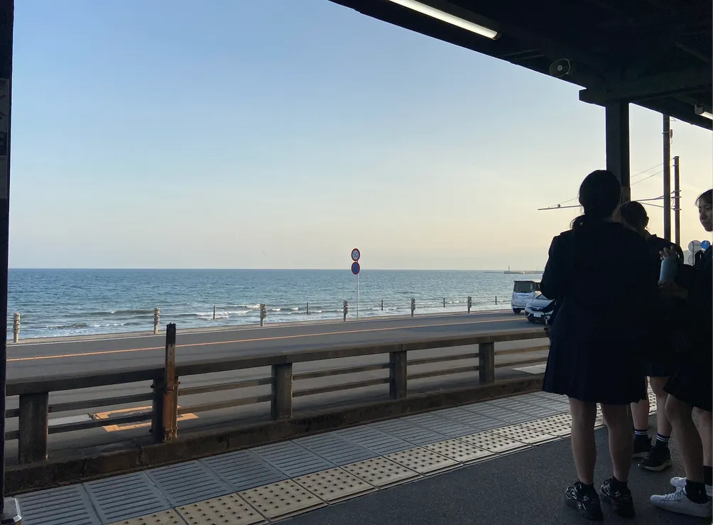 魔術師兔子人生旅行社