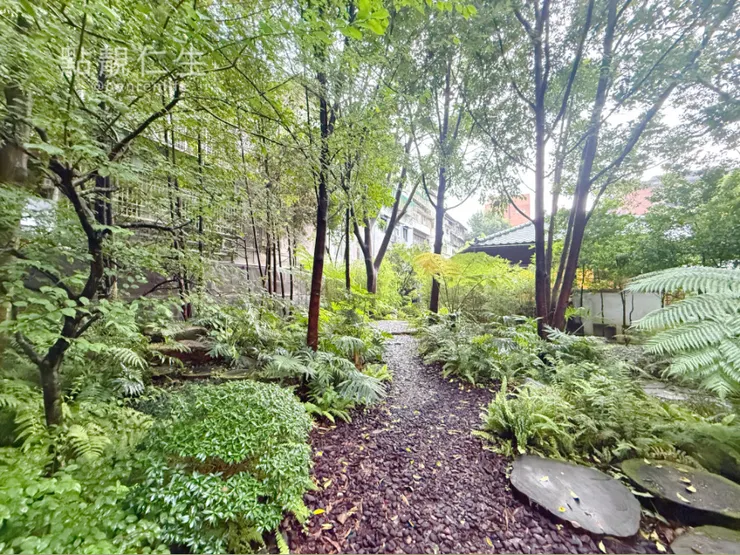 0Km山物所 後方一整排的綠意