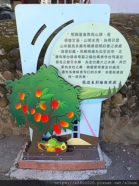 歡迎來到楠西照興