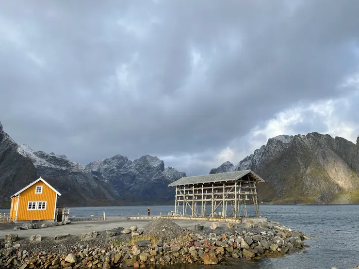 夏天應該曬滿了魚乾