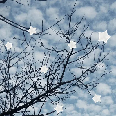 CC 高敏人的生活指南