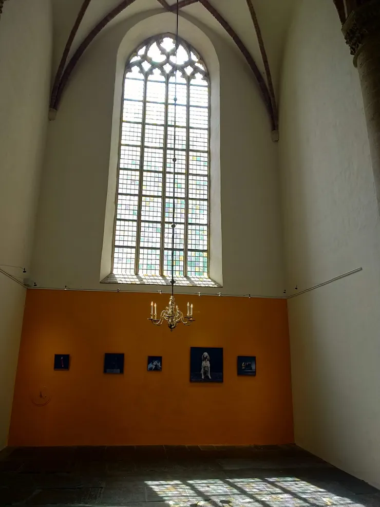 這個展示間也是