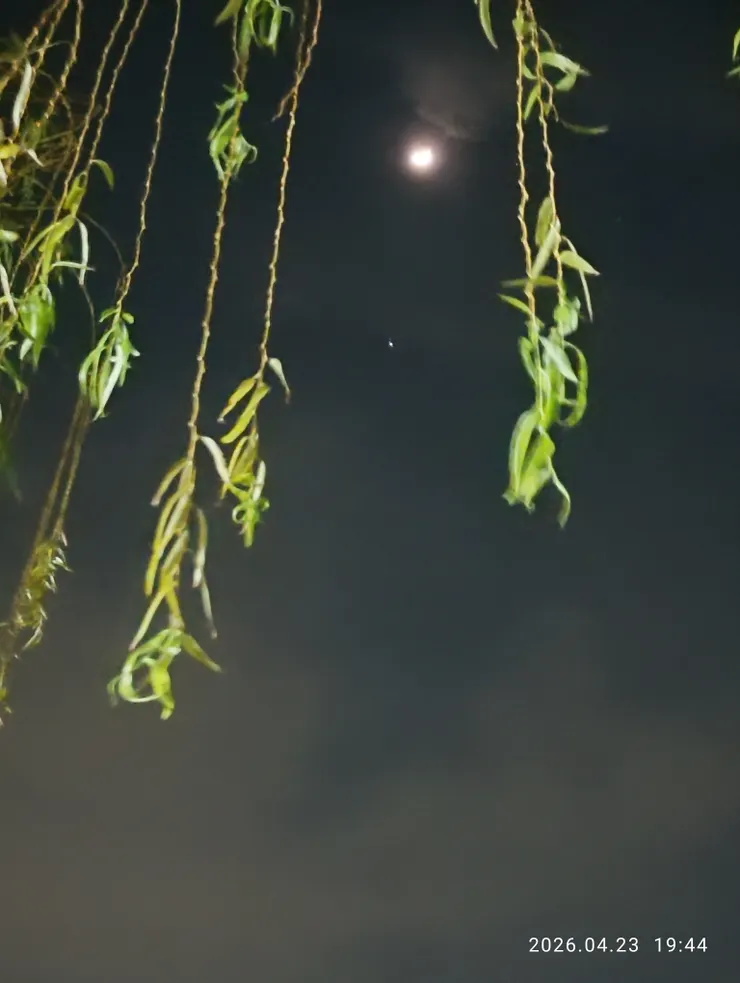 明月傷春更漏殘，皆自拍攝
