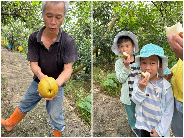 現採現切現吃，真的很新鮮好吃，光吃這些免錢的就飽了＠梨最珍貴