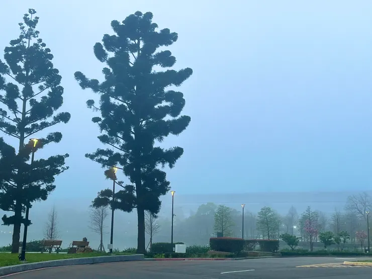 霧氣繚繞的湖邊，想像沐浴在芬多精裡