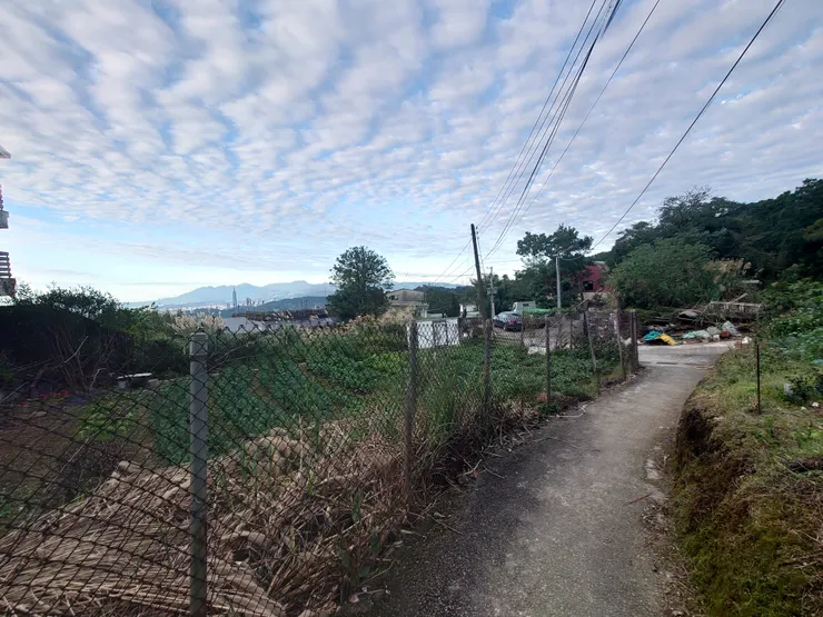 照片左前方為101