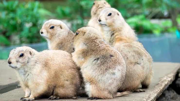 Source：Shutterstock