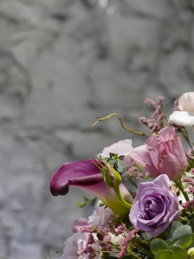 找流線型的花:思柏 文竹 春蘭葉