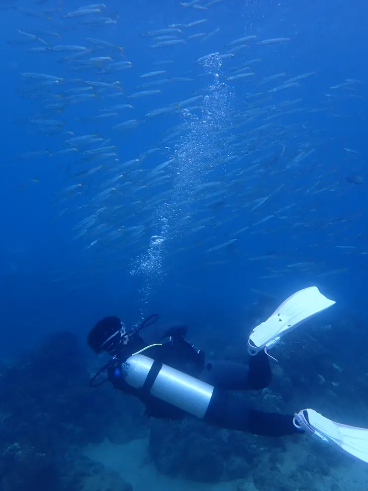 想要更了解海、更了解自然，情不自禁地被吸引著...