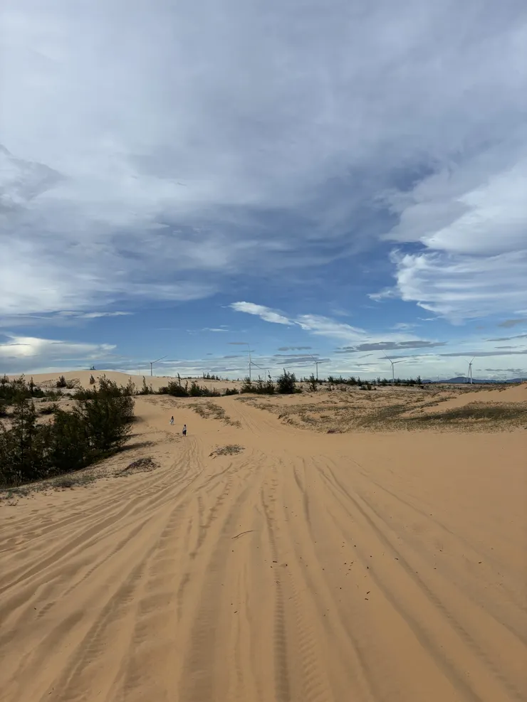 沙丘,可加購沙灘車拍照