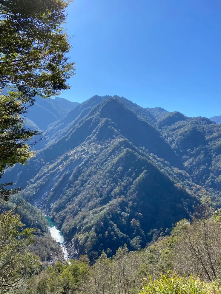 前往巨木步道的一抹風景