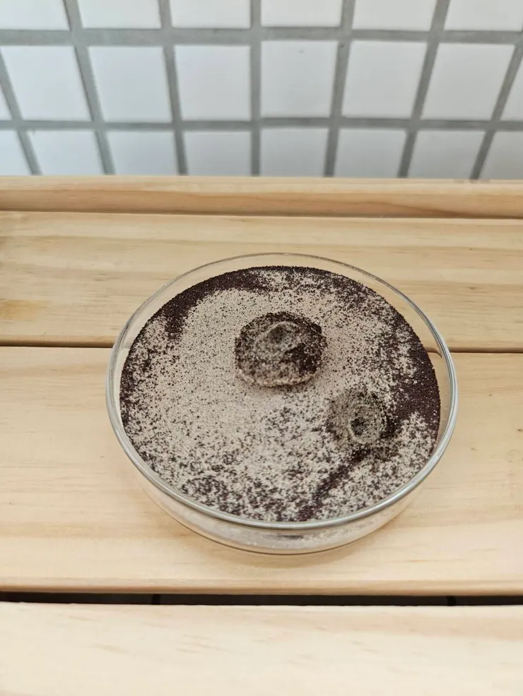 噗噗噠噠　沙漠砂的凝結狀態