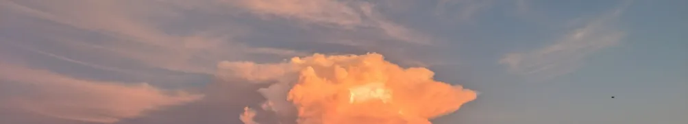 沒有我的奇美拉的沙龍