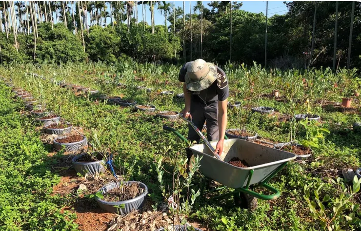 照片取自莓果日記官方網站