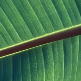 Hey, 你的故事是什麼？的沙龍