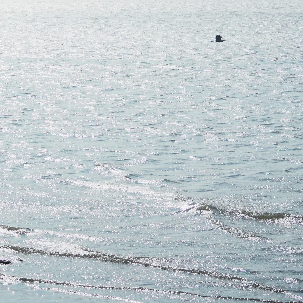 Murmuring in ilio space