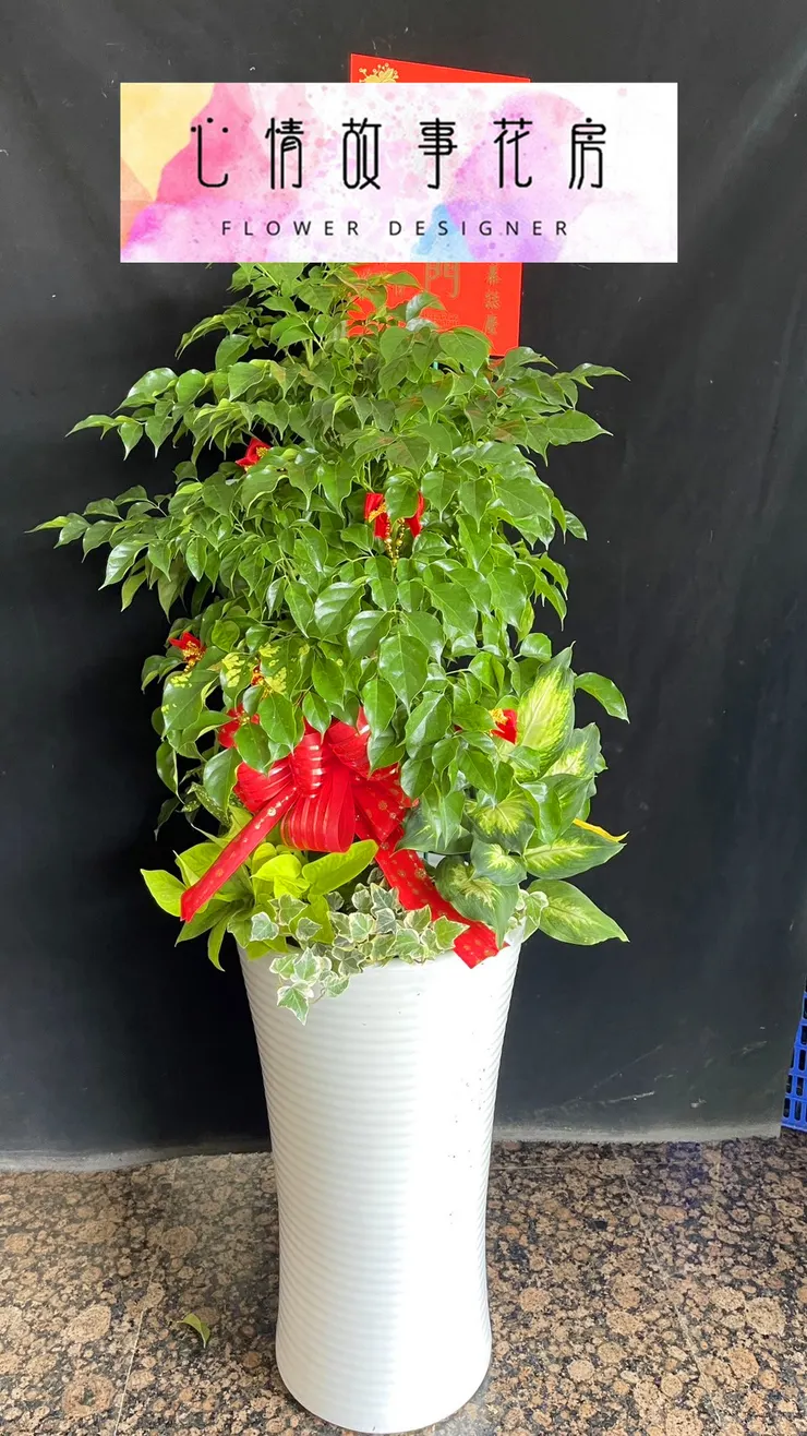 心情故事花房：台南安南區最大花店，專業服務與多樣化花卉商品贏得全台南市客戶的廣泛信任與讚譽