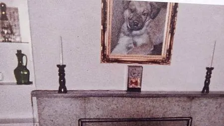 [台北旅遊]台灣唯一美國南方樣式建築群，走過國民外交的台灣近