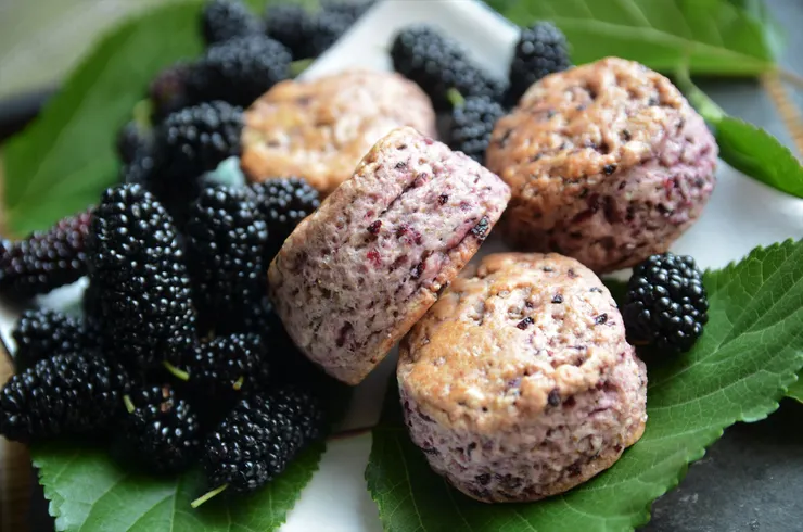 用桑葚果醬做的桑葚斯康