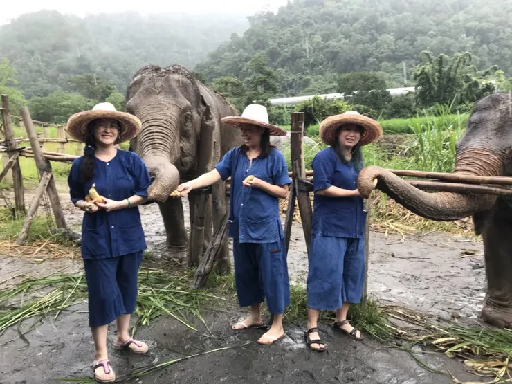 和大象們近距離接觸
