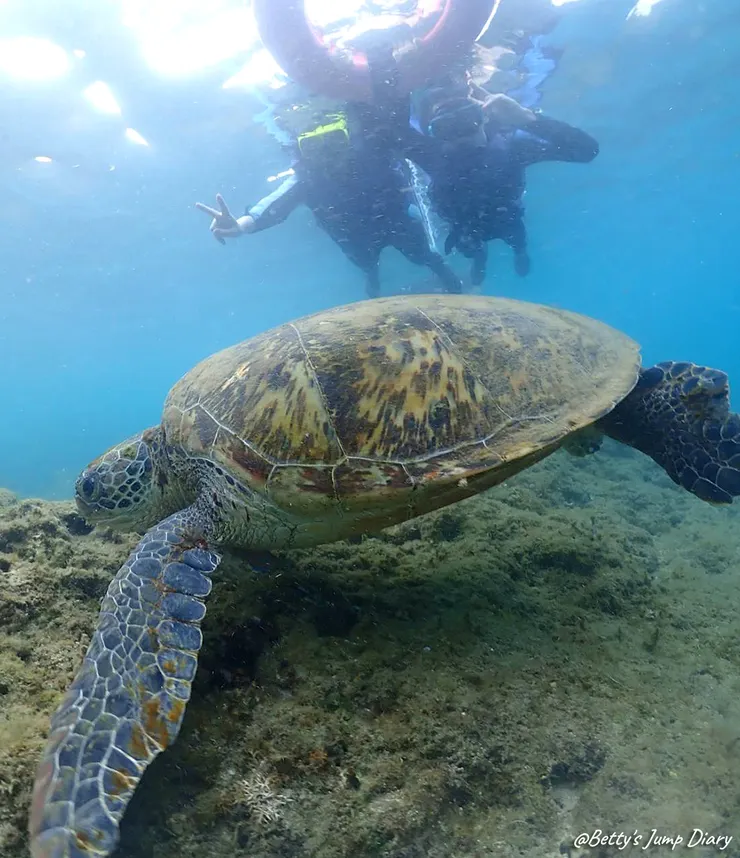 ▲2025屏東小琉球-浮潛、SUP/ 圖片來源：Betty's Jump Diary