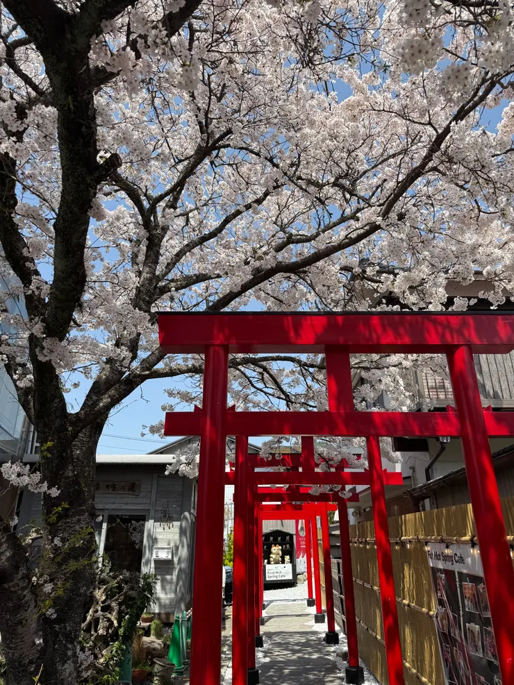 路邊小巷子裡的店家