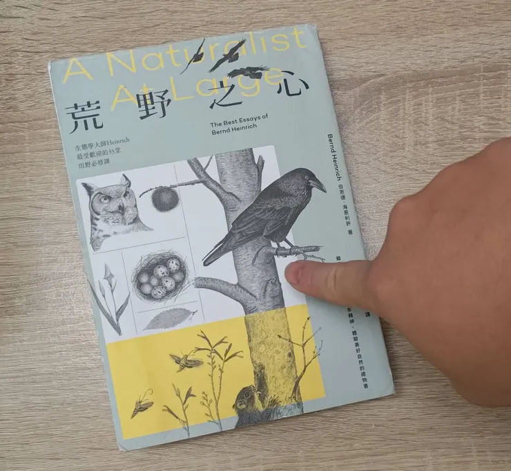 上吧荒野之心,9決定用你了。